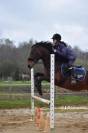 Poney français de selle (hors côte)