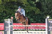 Hongre de 9 ans CSO amateur 1/ élite 