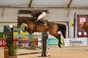 Hongre de 9 ans CSO amateur 1/ élite 