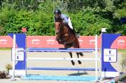 Hongre de 9 ans CSO amateur 1/ élite 