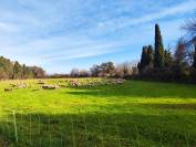 13 - SALON DE PROVENCE PROPRIETE EQUESTRE 4.9 HECTARES