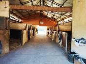 13 - SALON DE PROVENCE PROPRIETE EQUESTRE 4.9 HECTARES