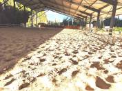 13 - SALON DE PROVENCE PROPRIETE EQUESTRE 4.9 HECTARES