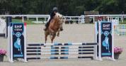 PFS 4 ans palomino