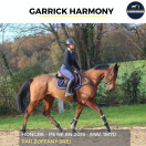 SUPERBE HONGRE - GARRICK HARMONY - 6 ANS