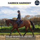 SUPERBE HONGRE - GARRICK HARMONY - 6 ANS