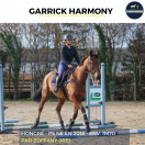 SUPERBE HONGRE - GARRICK HARMONY - 6 ANS