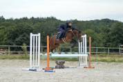 Ponette sport 