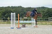 Ponette sport 