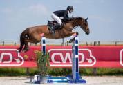 Top cheval pour young rider