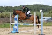 PONEY 149 WELSH / PFS 7 ANS CSO