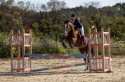 PONEY 149 WELSH / PFS 7 ANS CSO