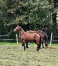 Joli 3 ans polyvalent 