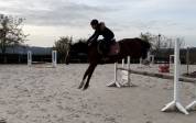 Top Ponette