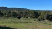 Aix en Provence - Magnifique domaine équestre