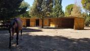 Provence- Belle Bastide sur 3,5 hectares