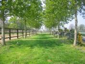 Haras dans le Bessin, 22 hectares