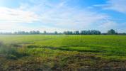 Fontvieille - Propriété à rénover sur 6,5 hectares