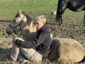 ❤️Adorable pouliche Lusitano ❤️