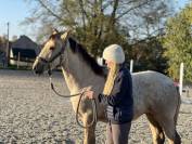 ❤️Adorable pouliche Lusitano ❤️