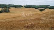 Propriété de 26 ha avec Château à rénover