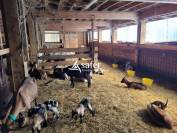 Ferme sur les hauteurs de Mo&ucirc;tiers