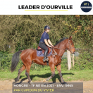 JOLI HONGRE - LEADER D'OURVILLE - 3 ANS 