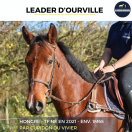 JOLI HONGRE - LEADER D'OURVILLE - 3 ANS 