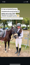 DP poney de sport 