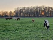 Ecurie située dans la Brenne