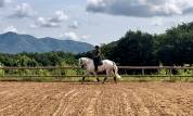 Ruin Lusitano Te koop 2017 Schimmel ,  ARAGAO (PRT)