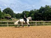 Ruin Lusitano Te koop 2017 Schimmel ,  ARAGAO (PRT)