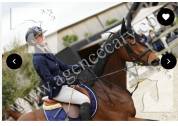 Cheval de famille, 6 ans idéal amateur cso 