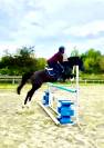 Top poney PFS Noir 