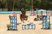 Cheval de 7 ans CSO Am par Rock'n roll Semilly