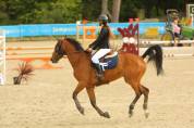 Cheval de 7 ans CSO Am par Rock'n roll Semilly