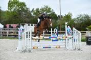 Cheval de 7 ans CSO Am par Rock'n roll Semilly