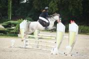 AV poney de sport