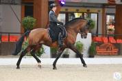 Dior du Fesquet - Lusitano 2013 by Rubi Ar