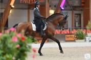 Dior du Fesquet - Lusitano 2013 by Rubi Ar