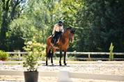 Dior du Fesquet - Lusitano 2013 by Rubi Ar