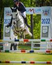 Jument 12 ans Epreuves internationales CCI ****