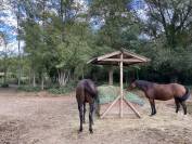 Haras et Ferme du Tombadou