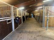 A VENDRE STRUCTURE EQUESTRE DANS L'OISE