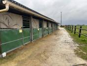 A VENDRE STRUCTURE EQUESTRE DANS L'OISE