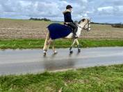 Ponette de 8 ans 