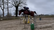 Cavalier jeunes chevaux indépendant