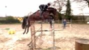 Cavalier jeunes chevaux indépendant