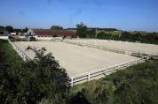 Vitelle Equestre