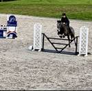 Poney D 5 ans potentiel CCE/CSO